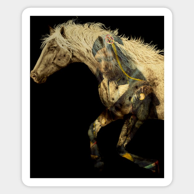 Appaloosa Spirit Horse Sticker by JimDeFazioPhotography